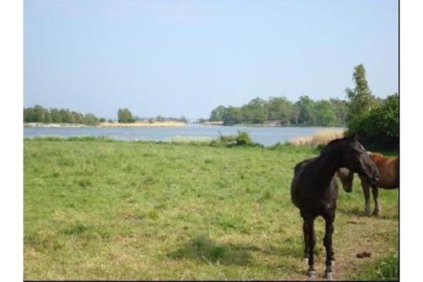By The Baltic Sea, 2 Bedrooms Karlskrona Ngoại thất bức ảnh